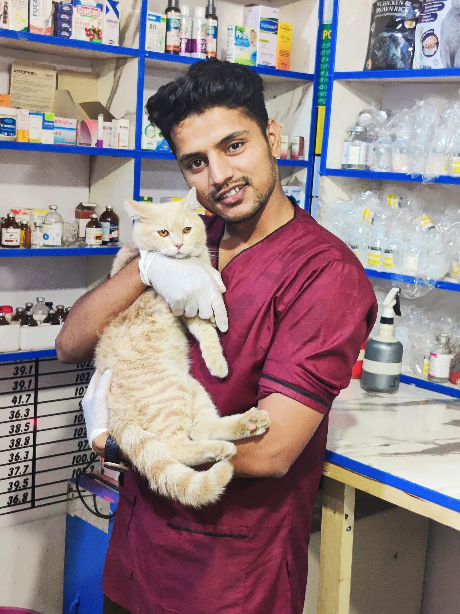 Clinical exam and diagnostic workup at VetBridge Animal Hospital